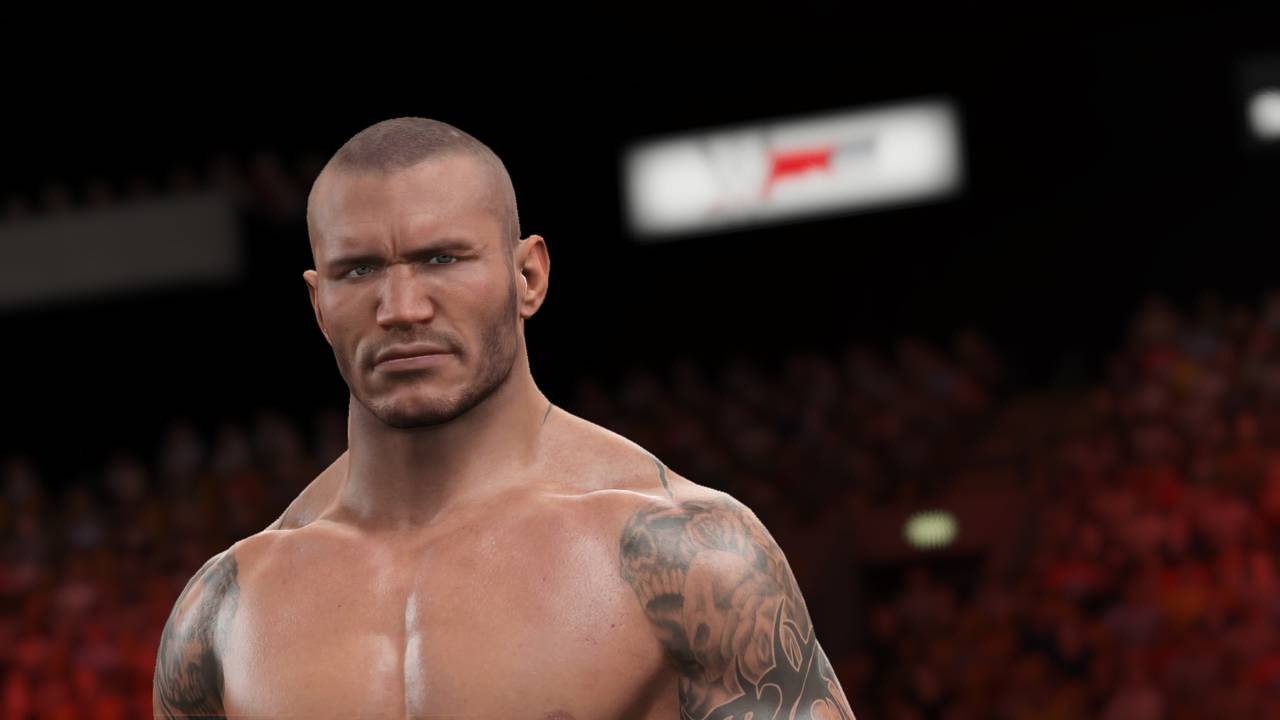 Игра WWE 2K15 для PlayStation 4 – Компания «СофтКлаб»